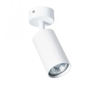 Спот Arte Lamp AQUARIUS