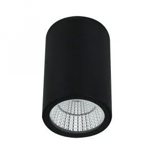 Уличный потолочный светильник Arte Lamp TORCULAR