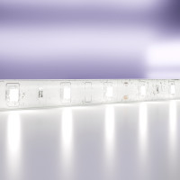 Светодиодная лента 12В 2835 4,8Вт/м 6000K 5м IP65