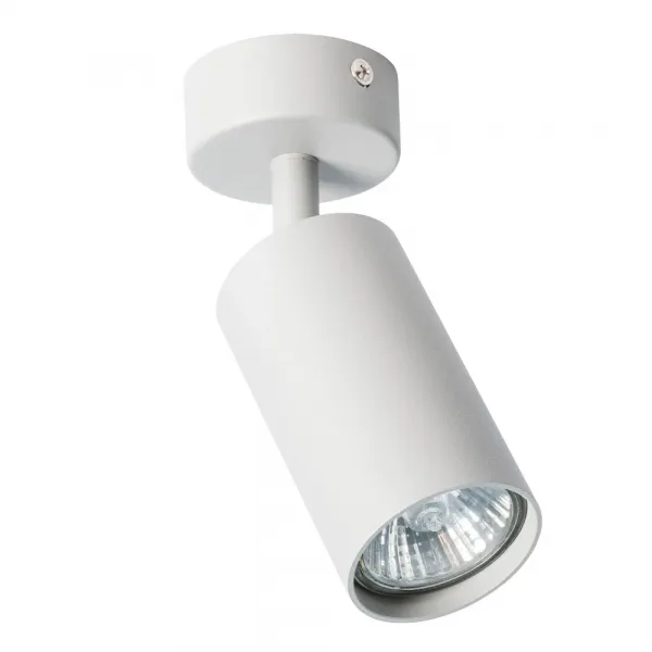Спот Arte Lamp AQUARIUS ARTE LAMP A3216PL-1GY