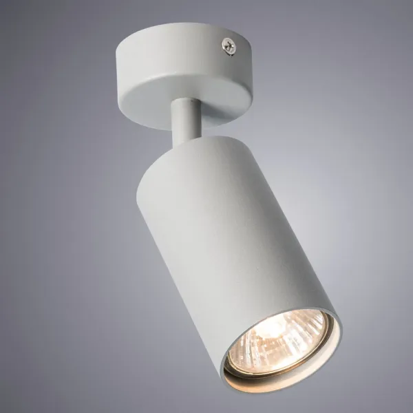 Спот Arte Lamp AQUARIUS ARTE LAMP A3216PL-1GY