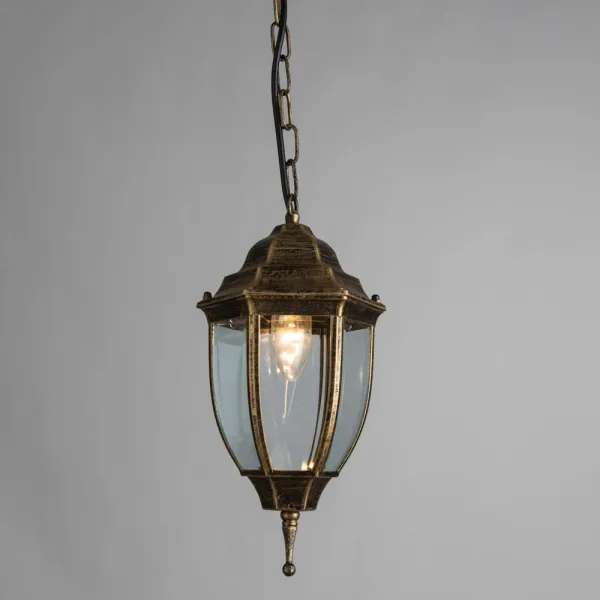 Уличный подвесной светильник Arte Lamp PEGASUS ARTE LAMP A3151SO-1BN