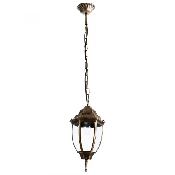 Уличный подвесной светильник Arte Lamp PEGASUS ARTE LAMP A3151SO-1BN