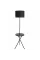 Торшер Arte Lamp COMBO ARTE LAMP A2070PN-1BK