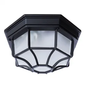 Уличный потолочный светильник Arte Lamp PEGASUS
