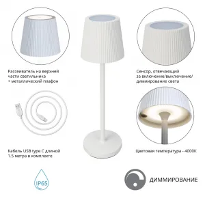 Уличный настольный светильник Arte Lamp FUYUE